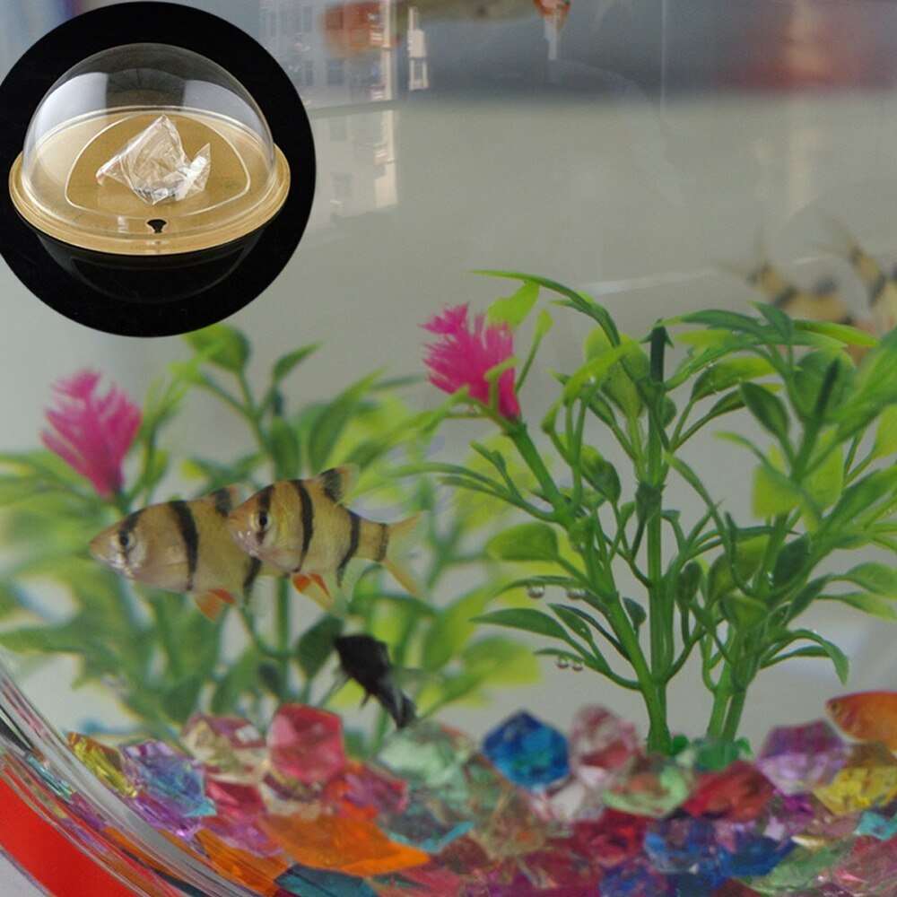 Petite Hanging Shrimp/Fish bowl
