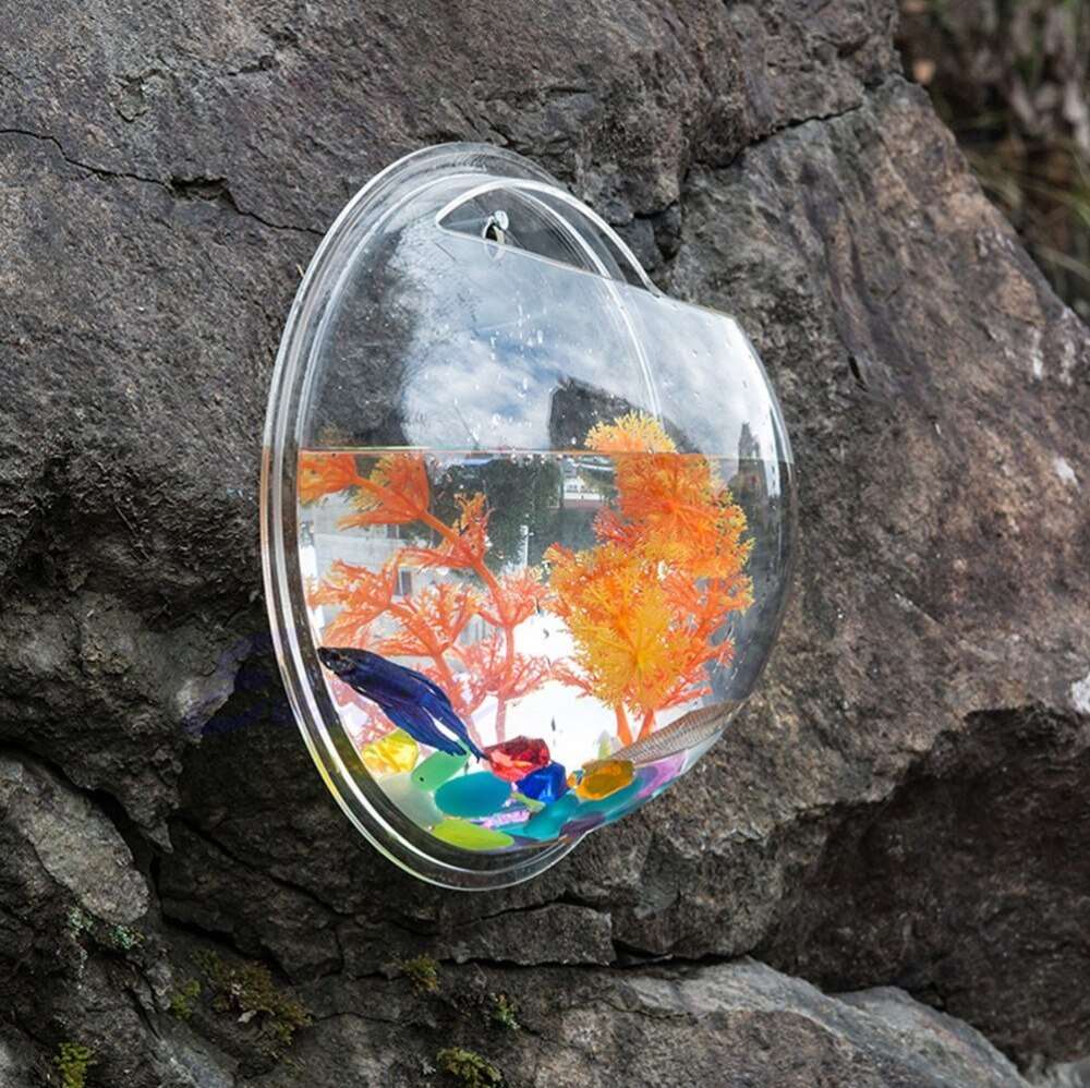 Petite Hanging Shrimp/Fish bowl