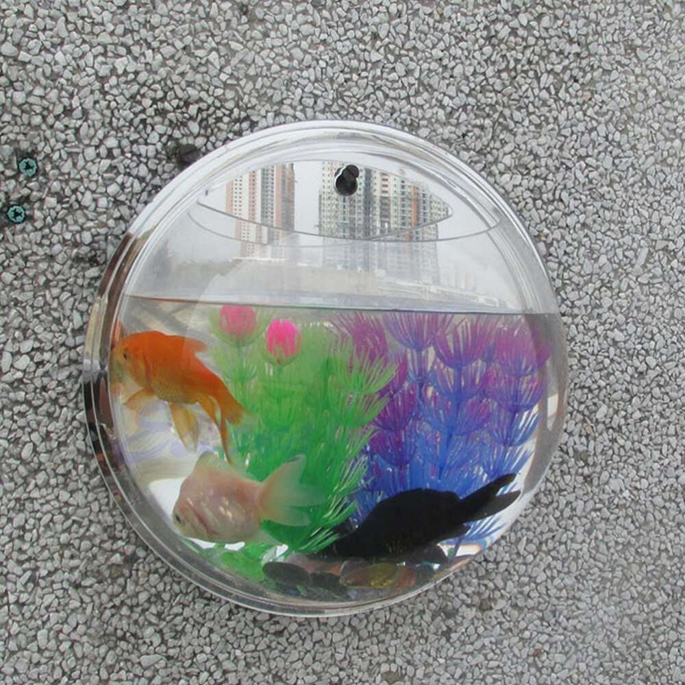 Petite Hanging Shrimp/Fish bowl 