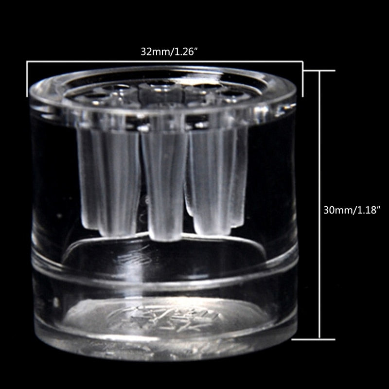 Acrylic Mini Planaria Trap