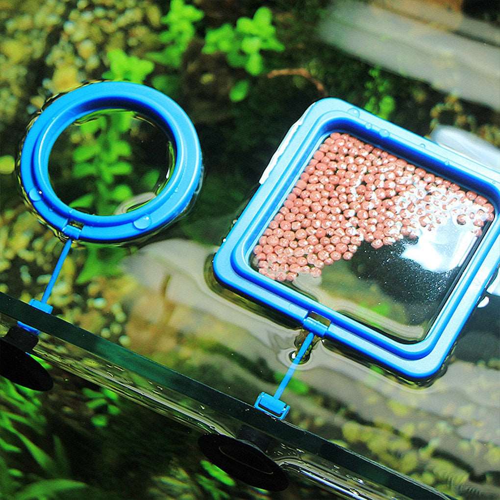 Square/Round Feeding Ring with Suction Cup