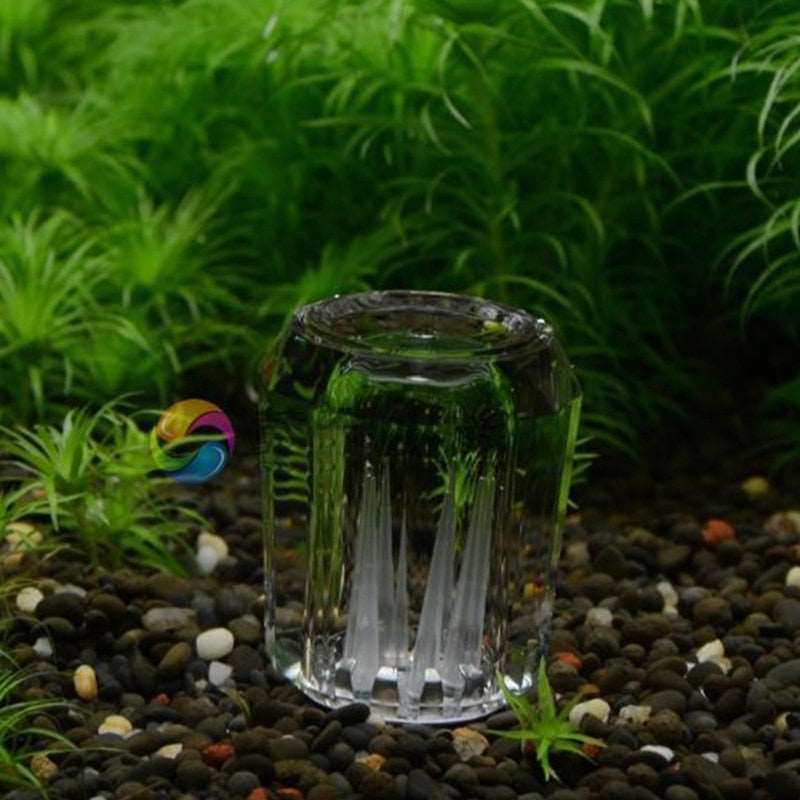 Acrylic Mini Planaria Trap